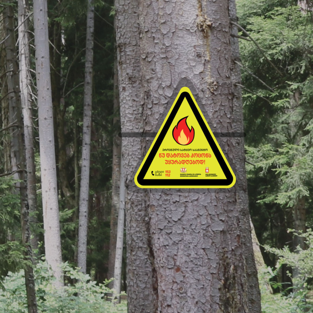 გარემოს დაცვის სამინისტრო ტყეებში უსაფრთხოების წესები დაცვისკენ მოუწოდებენ