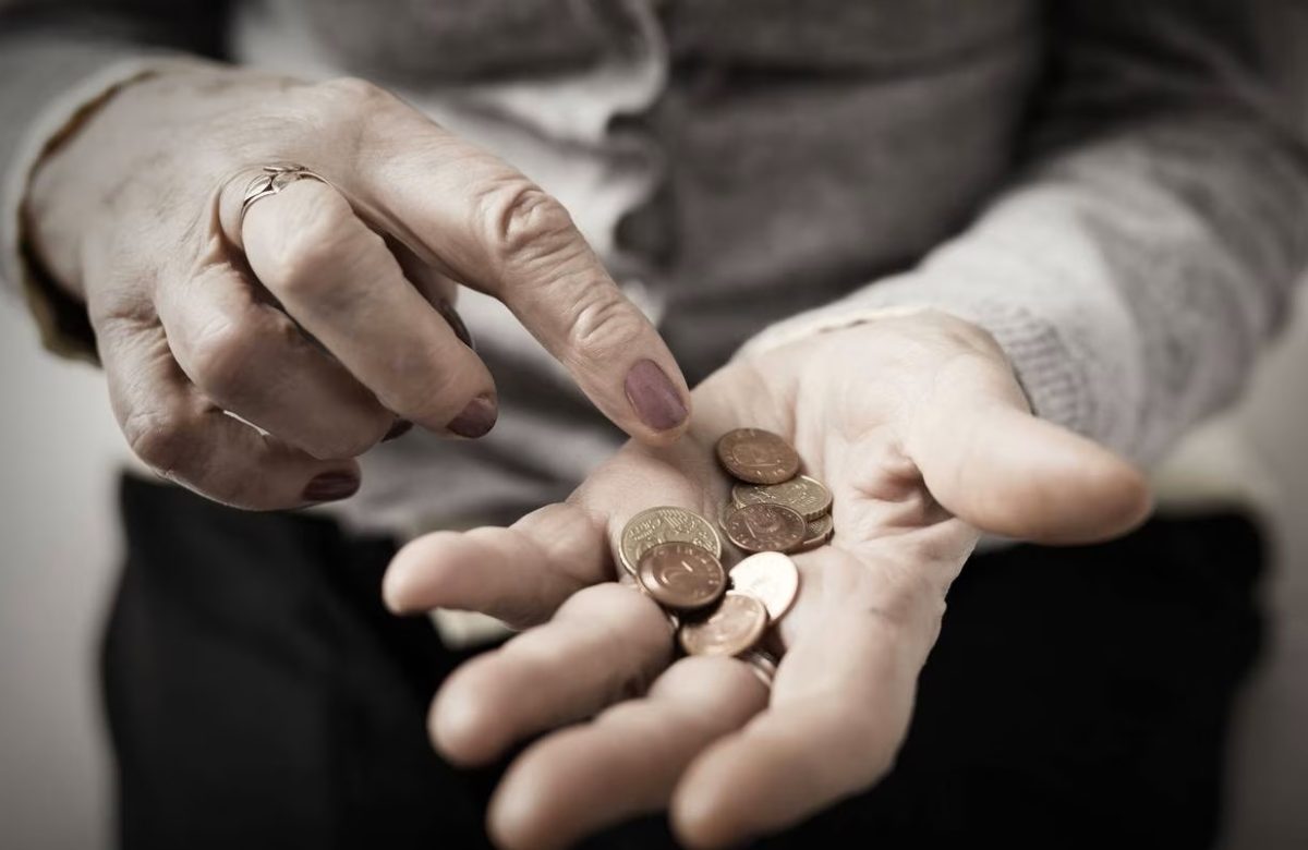 2026 წლიდან სოციალურად დაუცველების დასაქმების სახელმწიფო პროგრამა აღარ გაგრძელდება