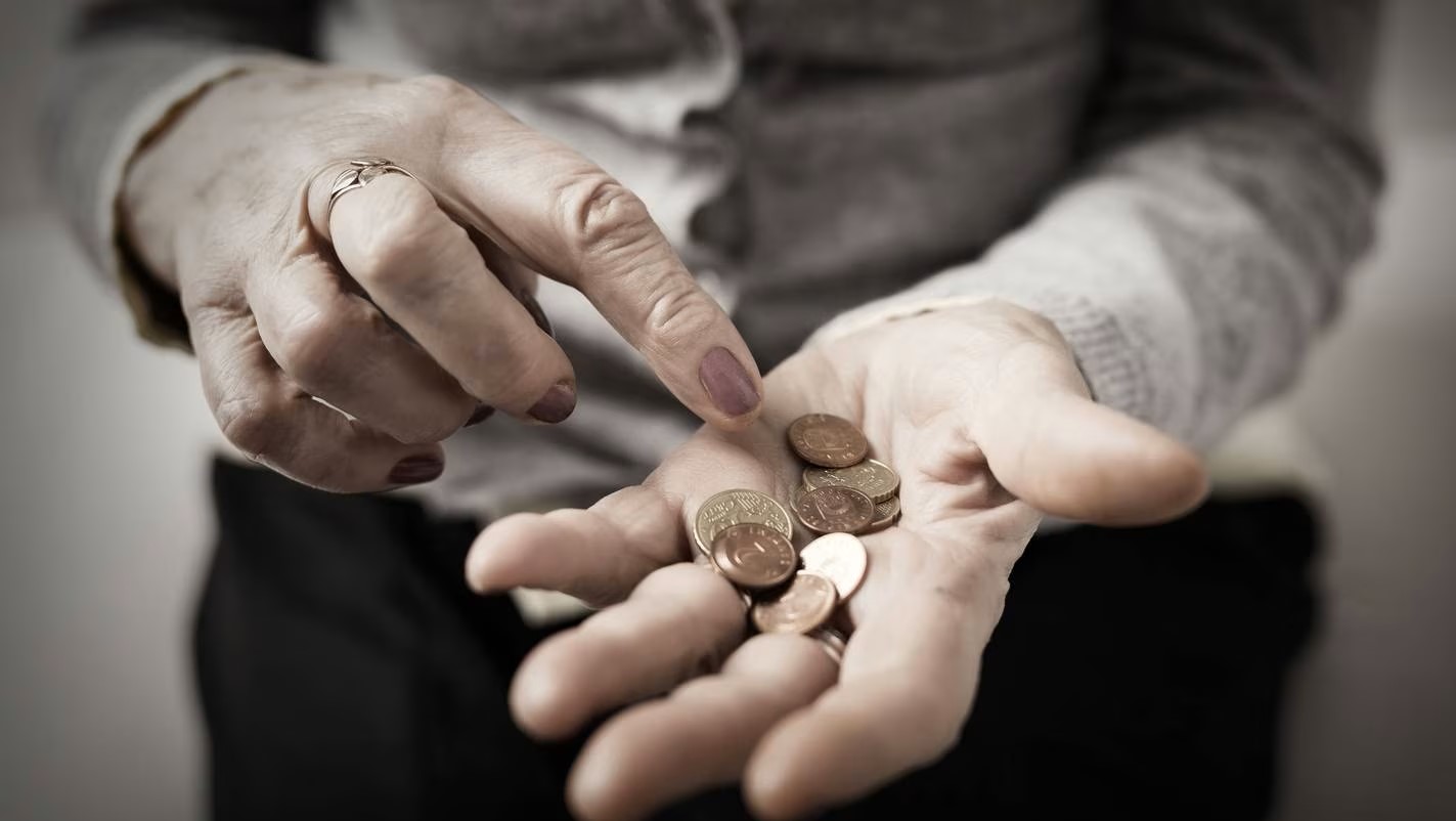 2026 წლიდან სოციალურად დაუცველების დასაქმების სახელმწიფო პროგრამა აღარ გაგრძელდება