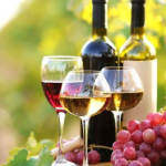 2026 წელს, ქართული ღვინის პოპულარიზაციის ბიუჯეტი ₾18 მილიონამდე გაიზარდა