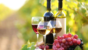 ევროკავშირის რომელ ბაზრებზე ღირს ქართული ღვინო ძვირი/იაფი? - თიბისი კაპიტალის მიმოხილვა