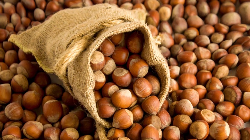 საქართველოს თხილის ექსპორტი 62%-ით გაიზარდა – რომელ ქვეყნებში ვყიდით