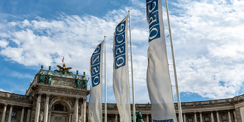 “უმაღლესი განათლების რეფორმირების პროცესში აკადემიური დაწესებულებების ავტონომია უნდა იყოს დაცული” – ეუთოს “მოსკოვის მექანიზმის” ანგარიში