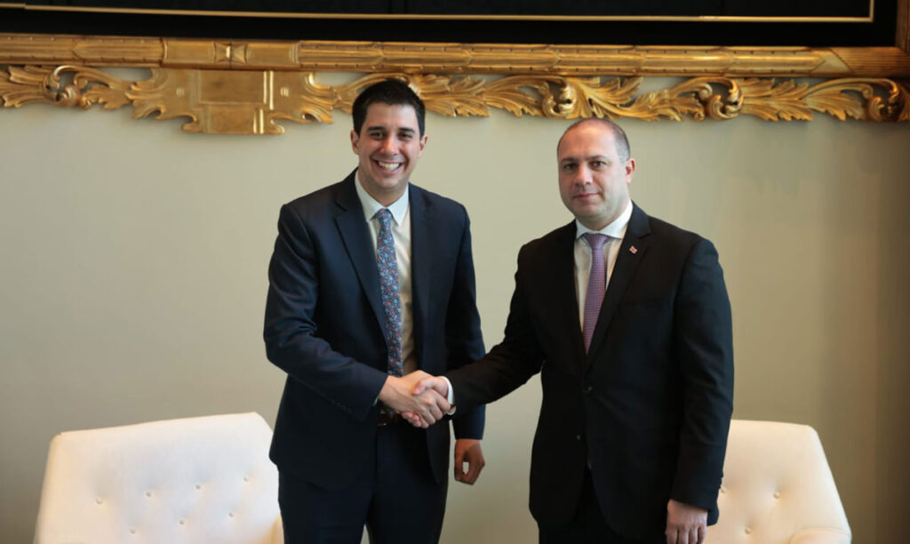 გივი მიქანაძე ახალგაზრდობის საკითხებში გაერო-ს გენერალური მდივნის მოადგილეს შეხვდა