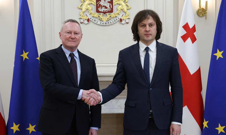 ირაკლი კობახიძე ევროპის საბჭოს ადამიანის უფლებათა კომისარს შეხვდა – რაზე ისაუბრეს