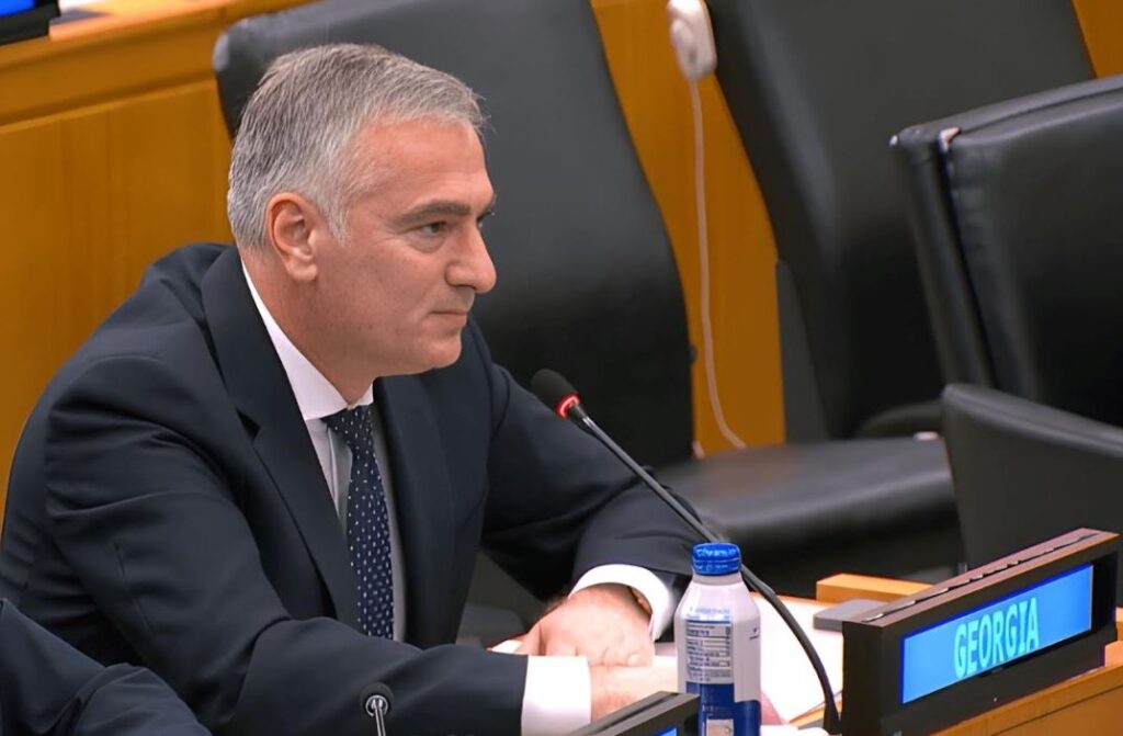 პაატა სალიამ გაერო-ს საჯარო ადმინისტრირების ექსპერტთა კომიტეტს საჯარო სერვისების ქართული რეფორმები გააცნო