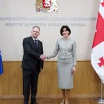 მაკა ბოჭორიშვილი კავკასიასა და ცენტრალურ აზიაში ნატო-ს გენმდივნის სპეციალურ წარმომადგენელს შეხვდა