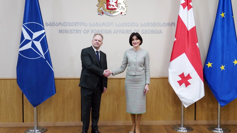 მაკა ბოჭორიშვილი კავკასიასა და ცენტრალურ აზიაში ნატო-ს გენმდივნის სპეციალურ წარმომადგენელს შეხვდა