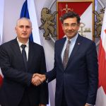 ლაშა ხუციშვილი თურქეთის ელჩს შეხვდა