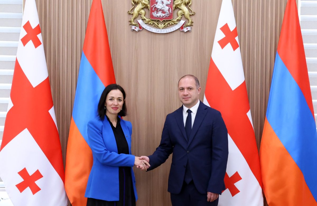 გივი მიქანაძე სომხეთის განათლების მინისტრს შეხვდა – რაზე ისაუბრეს