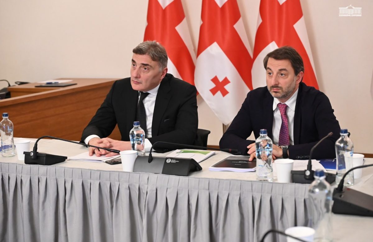 კომიტეტმა ენერგეტიკისა და წყალმომარაგების სექტორში მომხმარებელთა უფლებრივი მდგომარეობის შესახებ 2025 წლის ანგარიში განიხილა